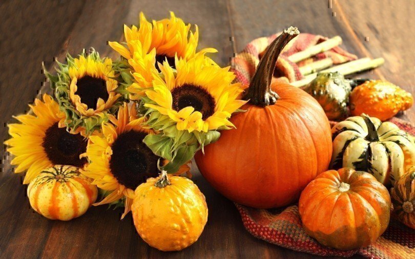 Decorate for Fall, Not Halloween: DIY to Last All Season! | Military Spouse