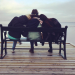 Three women sitting on a bench, leaning on each other while looking out at a lake.