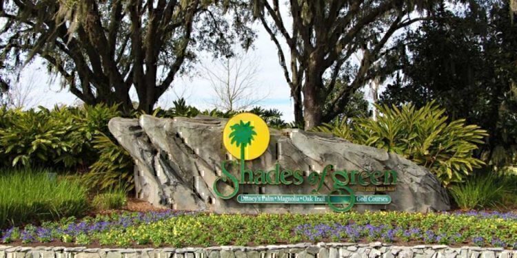 A beautiful fountain that is surrounded by green grass.