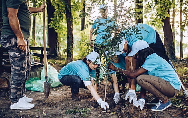 A group of people outside planting a new tree.